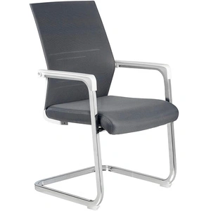 Riva Chair D819, серый