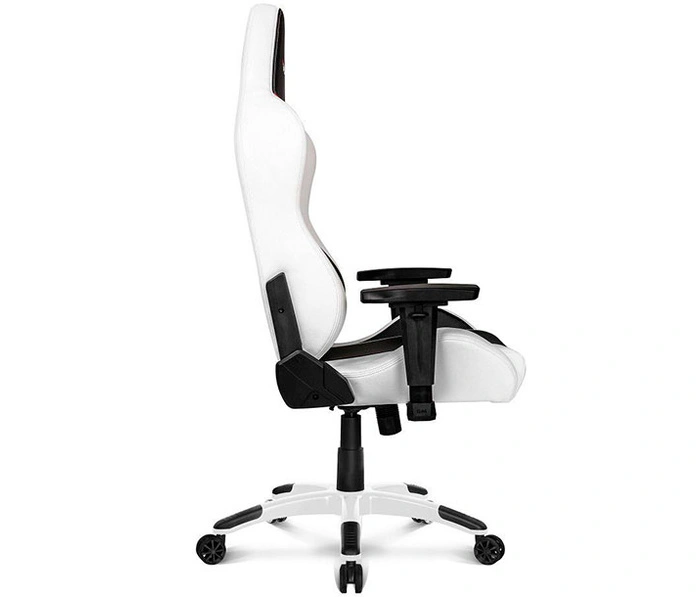 AKRacing Arctica