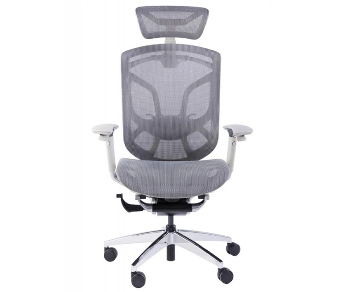 GT Chair Dvary X Gray