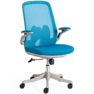 Tetchair MESH-10, голубой