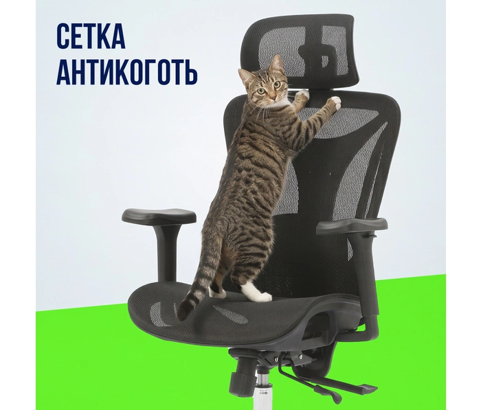 BOOST Ovio, черный