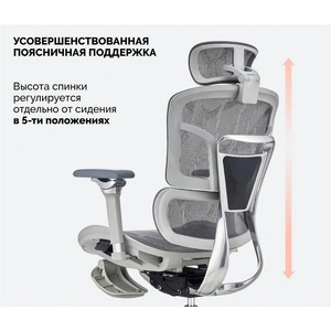 SPARX Evil Grey, серый