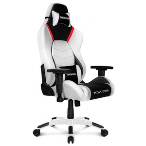 AKRacing Arctica
