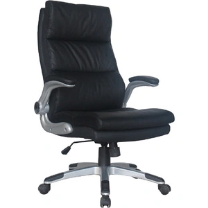 BRABIX Fregat EX-510, черный