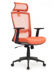 Riva Chair Design Line